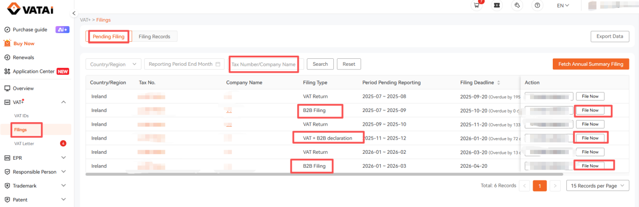 Ireland B2B (VIES) Filing Guide