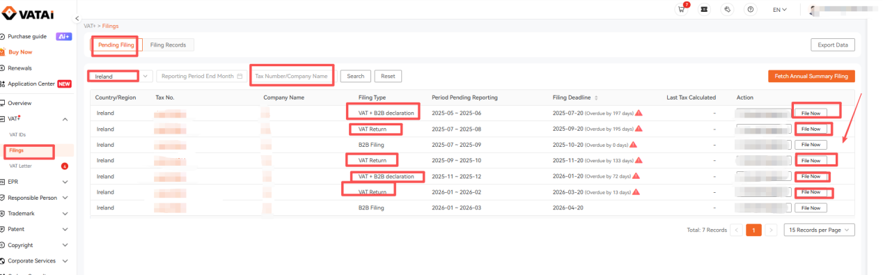 Ireland VAT Filing Guide